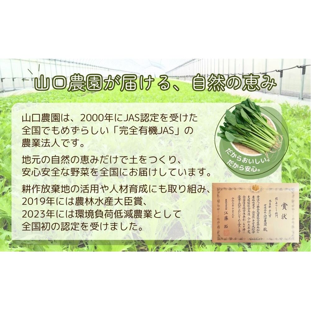 有機農業 圃場見学 ツアー お土産付 5名様迄／ 農業 農家 有機野菜 オーガニック 無農薬 SDGs 関西 体験 チケット カレー 山口農園 奈良県 宇陀市 ふるさと納税_イメージ4