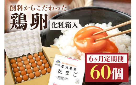 鶏卵60ヶ入り化粧箱 【6ヶ月定期便】 鶏卵 60個 化粧箱入り 卵 生卵 60ヶ たまご タマゴ 玉子 国産 茨城県産 健康 美容 ご飯 すき焼き 目玉焼き 卵焼き 玉子焼き たまご焼き 16-D