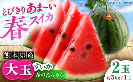 【先行予約】【数量限定】大玉すいか 2玉入（1玉 約5kg） 【一般社団法人クラッシーノこうし】 [AYAB057]