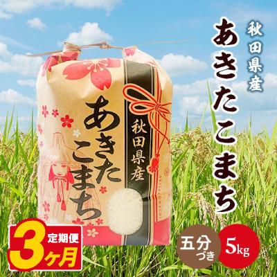 ふるさと納税 八郎潟町 【毎月定期便】あきたこまち 5kg【5分づき(精米)】 秋田県産全3回
