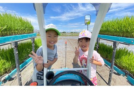 No.302 特別栽培　彩のかがやき　玄米５kg