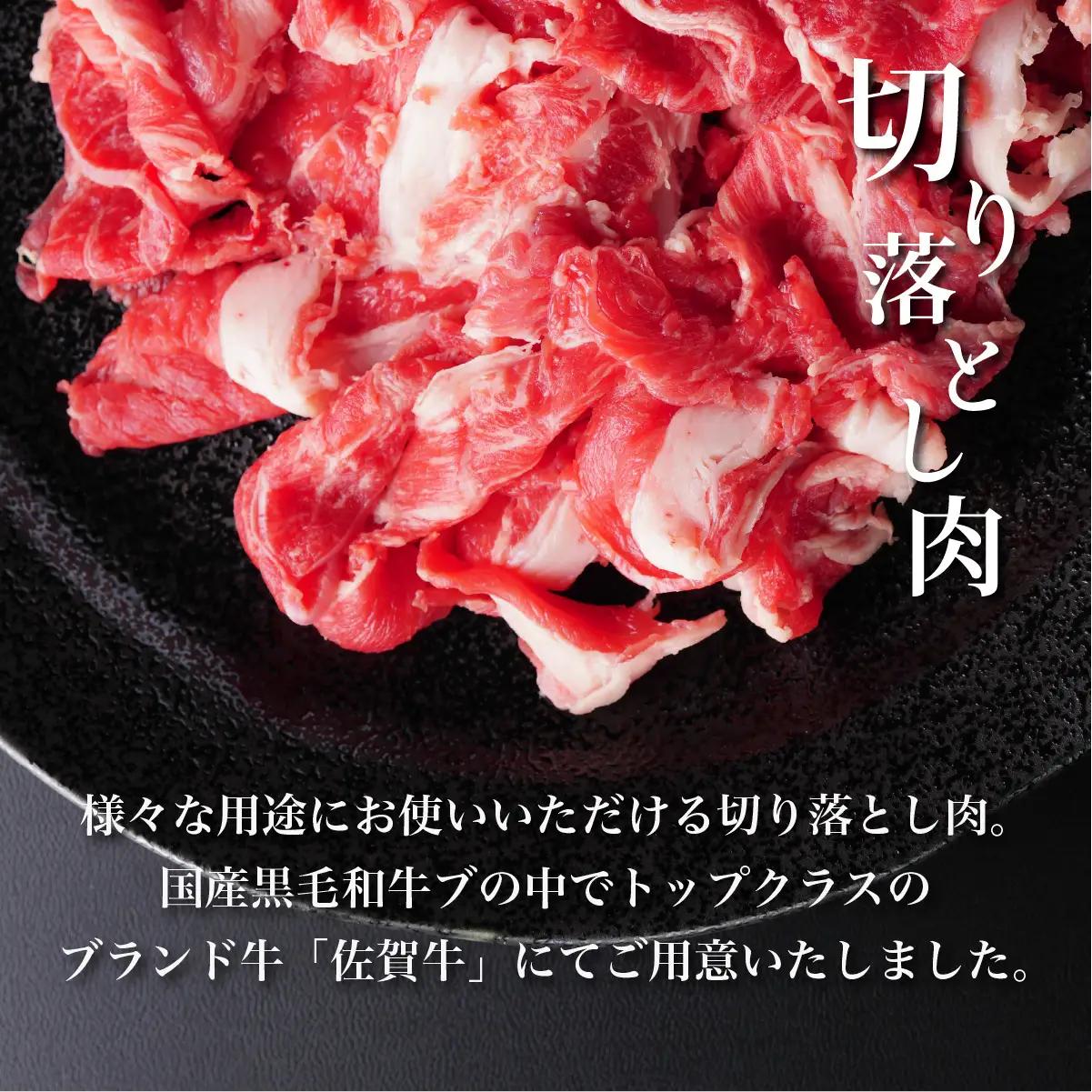 ＜定期便12回＞佐賀牛切り落とし 計12kg (1kg×12回)