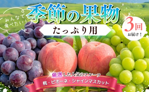 【たっぷり定期便】季節の果物 定期便 全3回 白桃・ピオーネ・シャインマスカット 【先行予約 2026年7月下旬から順次発送】