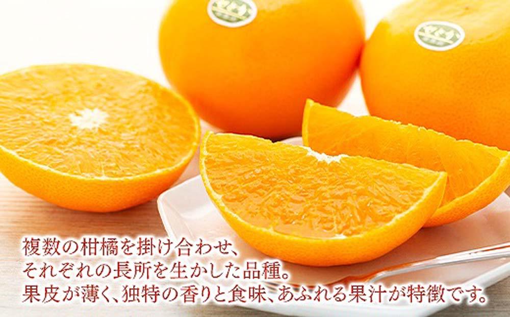 化粧箱 柑橘の大トロ ハウス せとか 厳選 大玉 6玉入