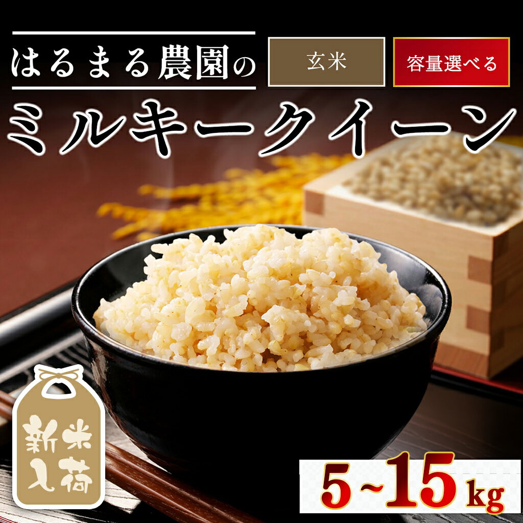 【ふるさと納税】＜先行予約受付中！2026年8月下旬以降順次発送＞＜選べる容量＞令和8年産 京都丹波福知山産 はるまる農園のミルキークイーン 玄米(5kg/10kg/15kg) 米 こめ ご飯 ごはん ミルキークイーン 新米【fc-CN005-R8】【はるまる農園】