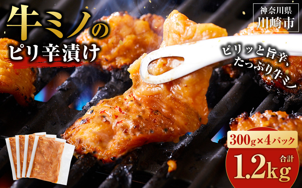 牛ミノ ピリ辛漬け 1.2kg ( 300g × 4パック ) 小分け 個包装 便利 牛肉 ホルモン ミノ 焼肉 焼き肉 お肉 肉 焼くだけ 冷凍 たれ 味付き BBQ アウトドア キャンプ 人気 おすすめ 神奈川 川崎【2026年1月発送】 141305_KZ13VC01