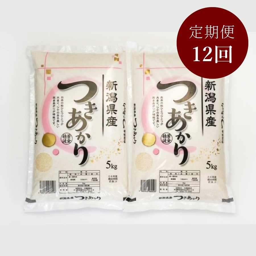 新潟県上越産つきあかり5kg×2 定期便12回