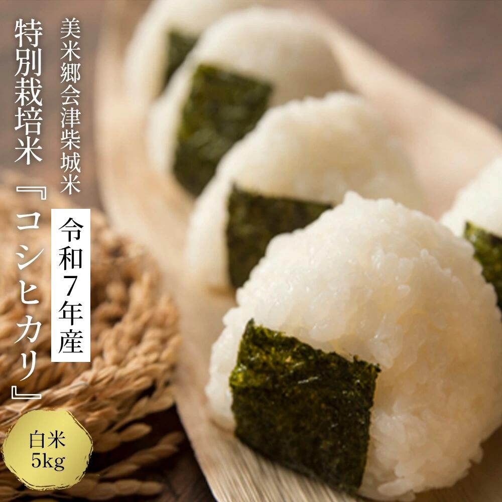 【ふるさと納税】令和7年産　美米郷会津柴城米　特別栽培米コシヒカリ　白米　5kg　【07208-0435-C】