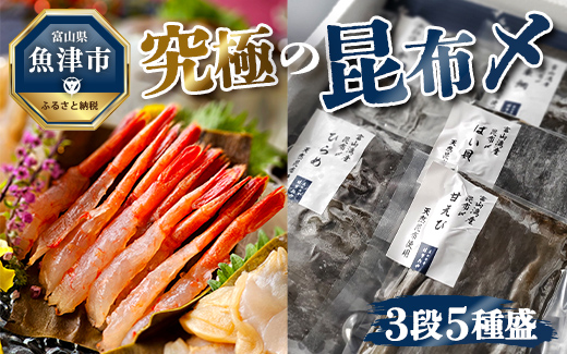 究極の昆布〆、3段5種盛（急速冷凍品）魚卸問屋はりたや 富山県魚津市 昆布締め こぶじめ 刺身 天然昆布 ※北海道・沖縄・離島への配送不可