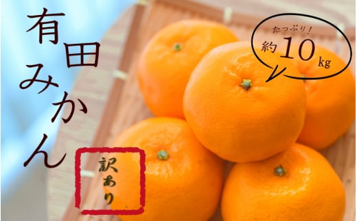 紀州有田みかん 約10kg訳あり　キズ　御家庭用　サイズ混合 【sml110C】