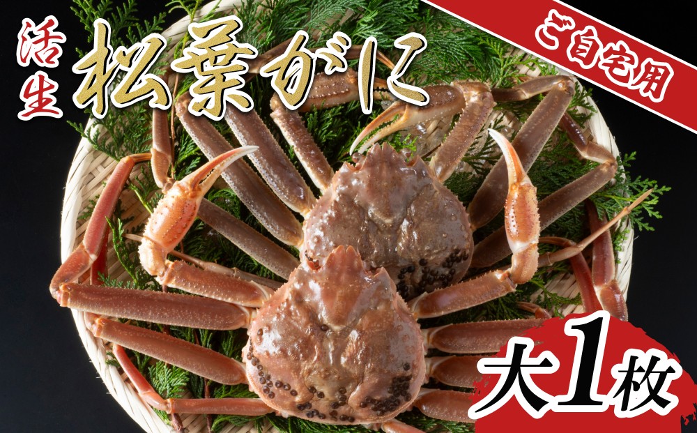 
                  【活き】ご自宅用松葉ガニ  大1枚 2026年11月～順次発送予定｜鳥取 日本海 松葉がに 松葉蟹 かに ズワイガニ【22060】
                
