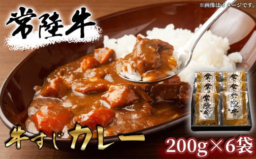 【常陸牛】牛すじカレー 200ｇ×6袋【 牛すじ 常陸牛 カレー スパイス レトルト お手軽 本格 牛肉 カレーライス 】