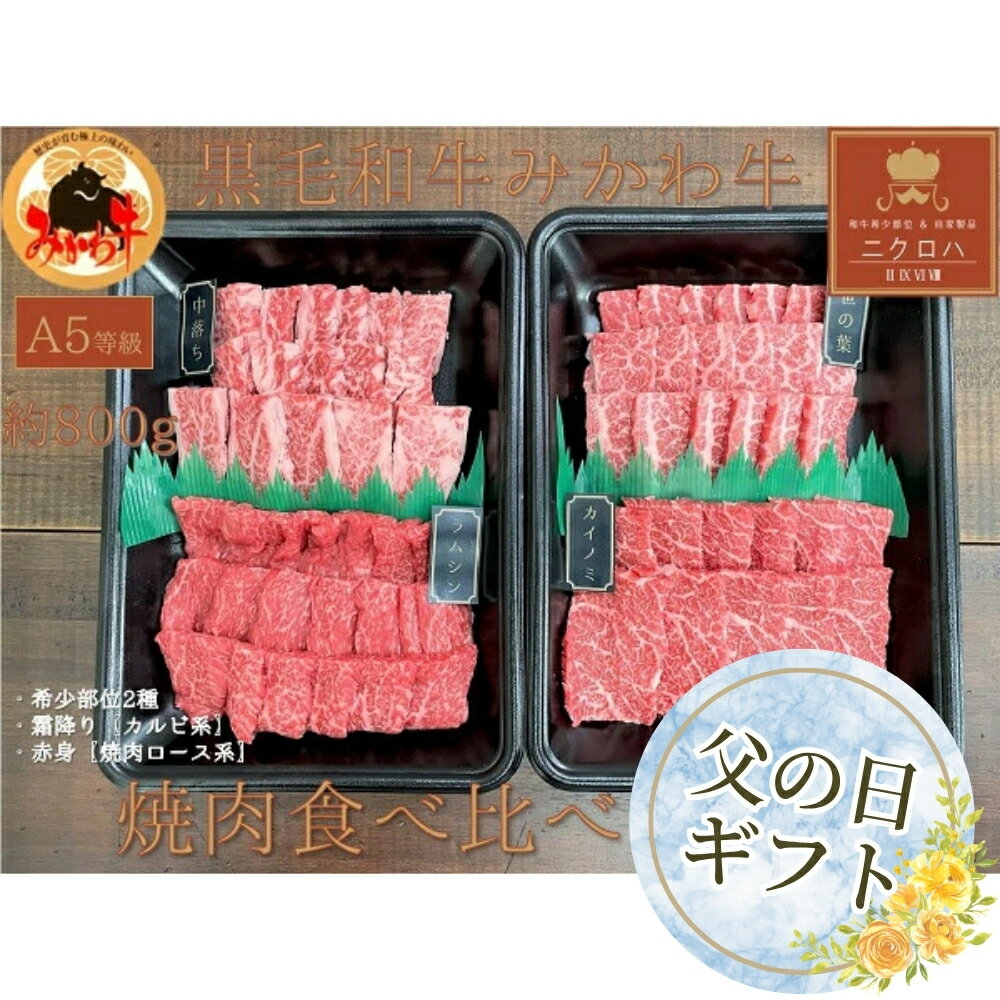 【ふるさと納税】≪父の日お届け≫黒毛和牛みかわ牛A5等級 食べ比べ焼肉セット たっぷり 1kg（希少部位2種：霜降り、赤身） 牛肉 肉 焼き肉 焼肉 愛知県 豊橋市
