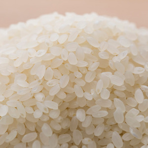 【定期便6ヶ月】新潟市産コシヒカリ 白米 5kg お米 精米 ご飯 代表 自然 飽きない 自信 美味しい 