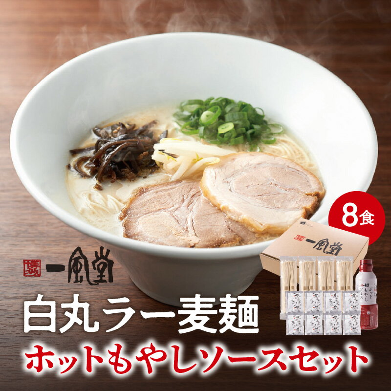 【ふるさと納税】【一風堂】白丸ラー麦麺セット＆ホットもやしソースセット ラーメン とんこつ 豚骨 豚骨スープ ストレート麺 ラー麦 本格 福岡 ご当地 お取り寄せ 福岡県 八女市