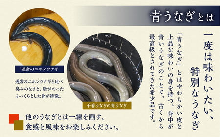 厳選 高級 青うなぎ 蒲焼 20尾 3000g 訳あり 大容量