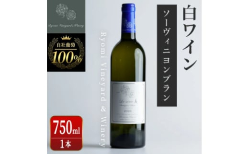 ラセリー美 ソーヴィニヨンブラン 750ml×1本【1599866】