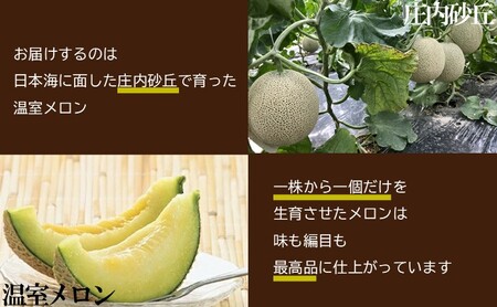 SB0902　酒田の果物専門店厳選　庄内温室 大玉アールスメロン　4kg以上(2玉入)