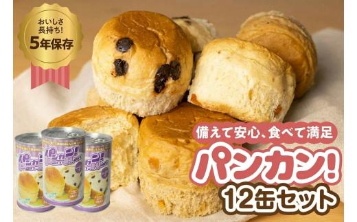 【レーズン 12缶】備えて安心、食べて満足『パンカン！』12缶セット 備蓄食 缶入り パン 5年保存 3種24缶セット たっぷり 備蓄 長期保存 調理不要 災害 セット 非常食 常温 缶詰 チョコパン レーズンパン コーヒーパン 30000円 3万円 防災 おやつ チョコ レーズン 防災グッズ