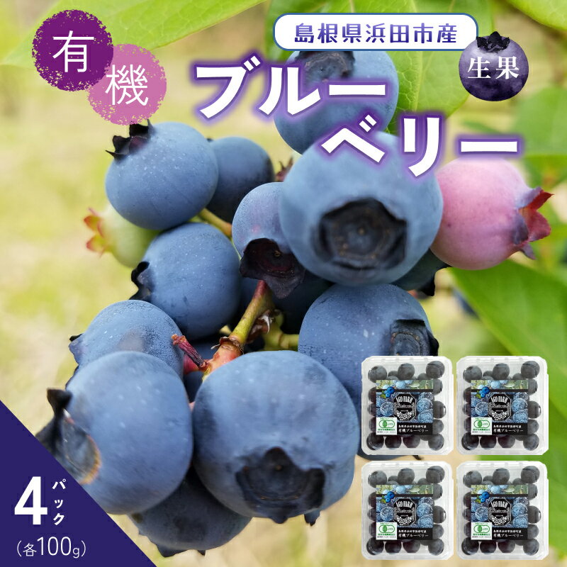 【ふるさと納税】【先行予約】有機ブルーベリー 100g×4パック（島根県浜田市産） フルーツ 完熟 果物 ブルーベリー 冷蔵 有機JAS認証 大粒 ふるさと納税 ブルーベリー【208_0001】