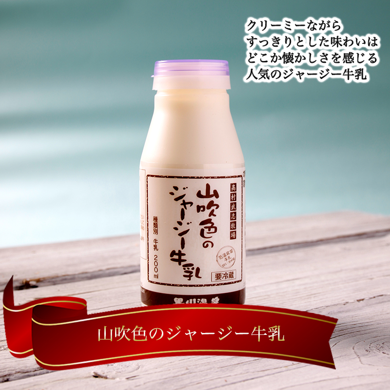 【山のいぶき】山吹色のジャージー牛乳 よくばりセット ジャージー牛乳 飲むヨーグルト 湯あがりカフェオレ プレーンヨーグルトざらめ 各3本 計12本 乳脂肪分 5％以上 低温殺菌 素材の味 ギフト 贈答 FOODEX JAPAN ご当地牛乳グランプリ 最高金賞 ご当地ヨーグルトグランプリ 金賞 熊本 阿蘇 小国郷