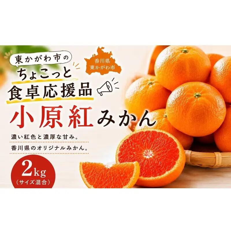 東かがわ市のちょこっとフルーツ「小原紅みかん 2kg」