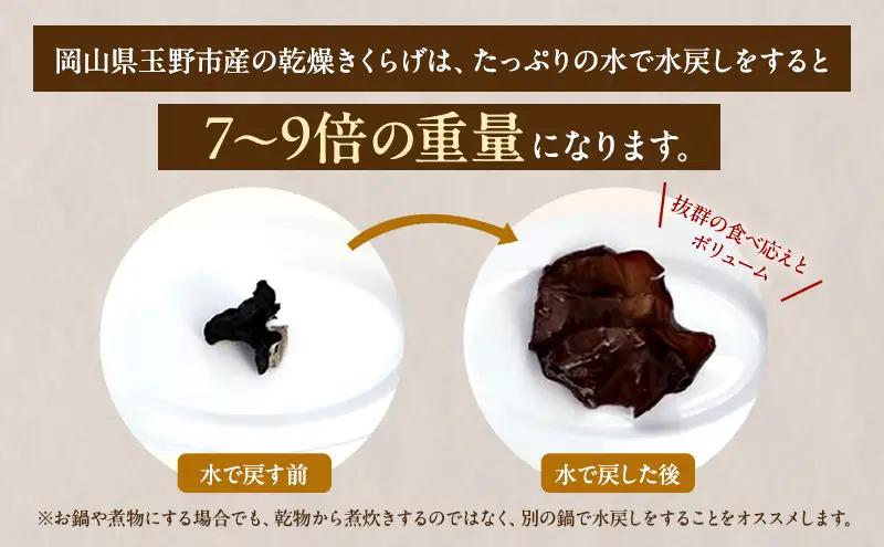 有機JAS 乾燥 きくらげホール 500g オーガニック きくらげ きのこ 野菜 岡山県 玉野市 栽培期間中化学肥料不使用 栽培期間中農薬不使用 野菜セット 
