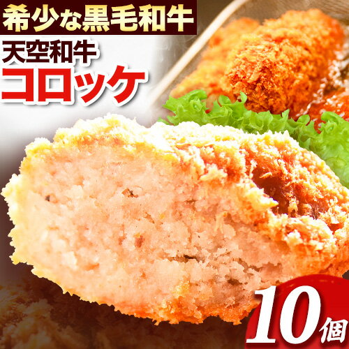 【ふるさと納税】揚げずにチンするコロッケ 天空和牛コロッケ 10個《30日以内に出荷予定(土日祝除く)》有限会社松牛 和歌山県 紀の川市 熊野牛 紀の川天空和牛 惣菜 おかず 冷凍