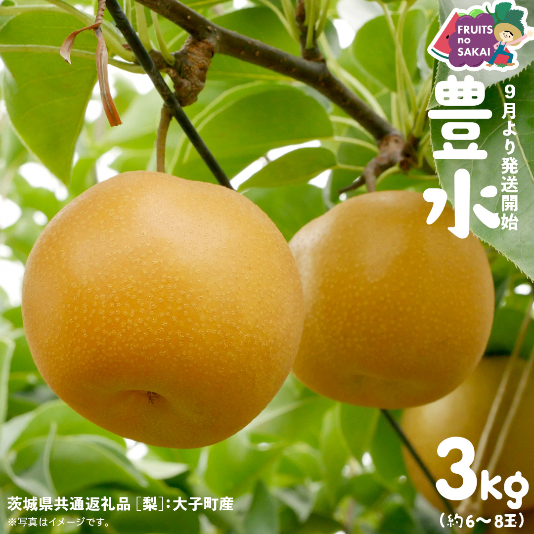 豊水 梨 3kg （6〜8玉）【2026年9月より発送開始】（茨城県共通返礼品 [梨]：大子町産） なし 旬 お取り寄せ フルーツ 甘い ジューシー 和梨 時期 [FC12-NT]