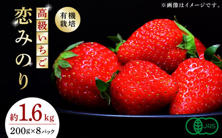 【先行予約】 高級いちご恋みのり約1600g(200g×8pc)有機栽培いちご苺ZBB007