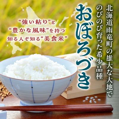 ふるさと納税 雨竜町 【定期便全2回】令和7年産 川越さんちの おぼろづき 5kg(5kg×1袋)毎月1回お届け |  | 01