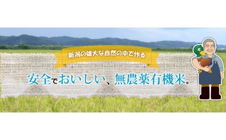 コシヒカリ 10kg（5kg×2袋） 有機栽培米 玄米  新潟県三条市産 こしひかり 米 令和5年産 [佐藤農産有機センター]【020S020】