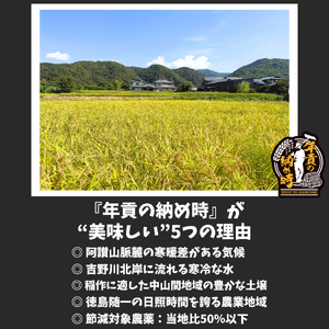 【お米】 コシヒカリ 5kg 令和7年産