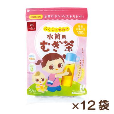 ふるさと納税 中央市 【はくばく】ごくごく飲める水筒用麦茶　20P×12袋