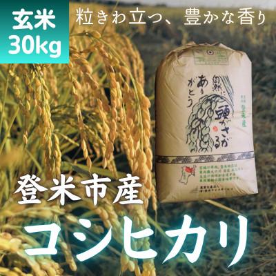 ふるさと納税 登米市 【令和7年産　宮城県登米市産】コシヒカリ(玄米)30kg