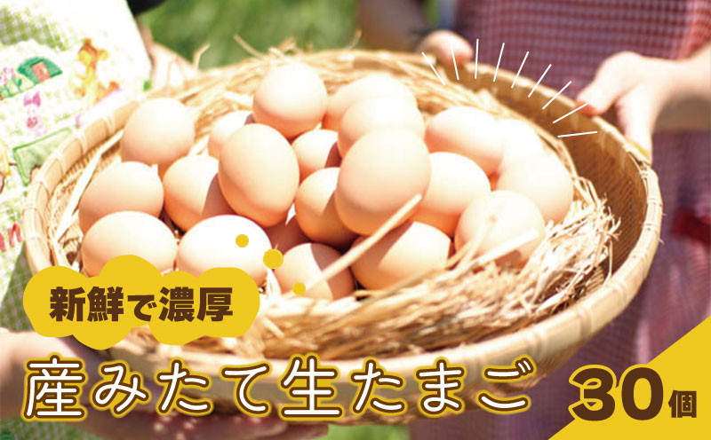 
たまご 卵 30個 ( 26個 ＋ 割れ保障 4個 ) 玉子 産みたて たまご 鶏卵 卵料理 生卵 玉子焼き 国産 玉子 新鮮 卵かけご飯 大容量 生 卵 鶏 天然 すき焼き 目玉 焼き おかず お弁当 下関 豊北 山口
