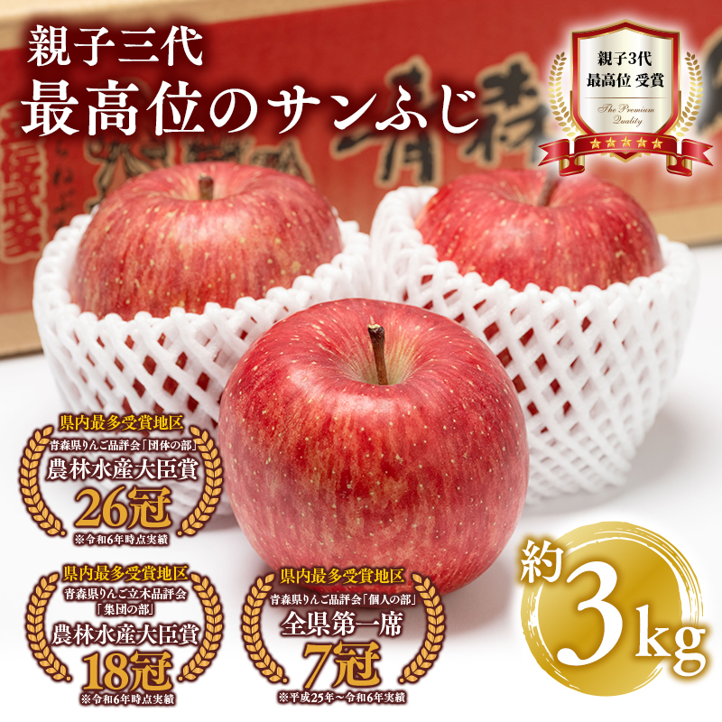 【1月発送】 りんご 贈答用 サンふじ 約3kg 青森県平川市産【hi-0003-025】