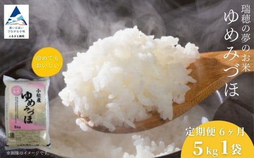 【先行予約】【定期便】 令和8年産 小松市産 ゆめみづほ 精米 5kg×6ヶ月（毎月）お米 おこめ 白米 こしひかり 石川県 小松市 【JA小松市】