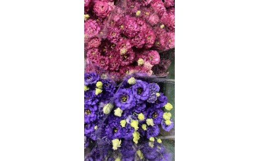 
                  タカセ花園 ヒロト厳選！季節の切り花セット[a0784]タカセ花園 返礼品 添田町 ふるさと納税
                