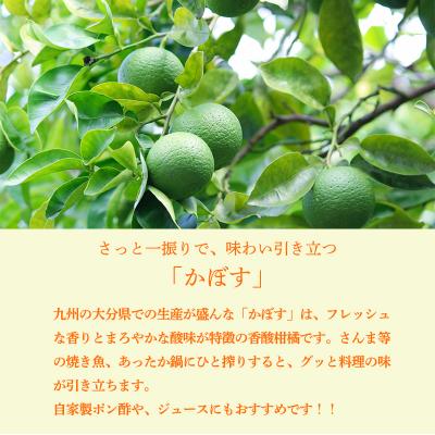 ふるさと納税 高原町 かぼすの手絞り果汁200ml×3p TF889 |  | 02
