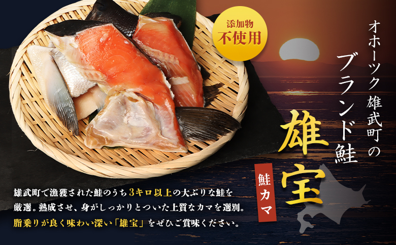 北海道雄武産【雄宝】山漬鮭 鮭カマ（2切入×5袋)【1221001】