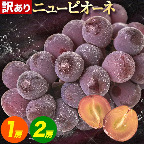【ふるさと納税】【先行予約】ぶどう ニューピオーネ 訳あり ニューピオーネ 約600g 1房 約1.2kg 2房 ぶどう ブドウ 葡萄 果物 秋旬 訳あり 優品 厳選出荷 フルーツ デザート 岡山県 浅口市《8月下旬‐10月中旬に発送予定(土日祝除く)》送料無料 ニューピオーネ ぶどう