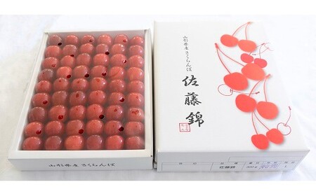 早旬さくらんぼ（佐藤錦）１.２ｋｇ　手詰め　0060-2603