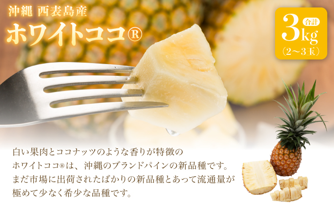リピーター続出の希少種パイン！　数量限定販売　先行予約　パイナップル　沖縄　西表島　熟鮮ホワイトココⓇ　3㎏　2～3玉　ココナッツに似た香り　果物　フルーツ　デザート