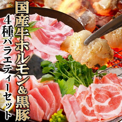 【ふるさと納税】4種バラエティーセット　A8-94【配送不可地域：離島】【1528196】