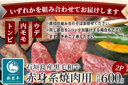 石垣島産 黒毛和牛 新里牛 赤身系焼き肉用 計600ｇ(300g×2)【 牛肉 肉 赤身 ウデ モモ 焼肉 和牛 バーベキュー BBQ 石垣 石垣島 沖縄 】SZ-21