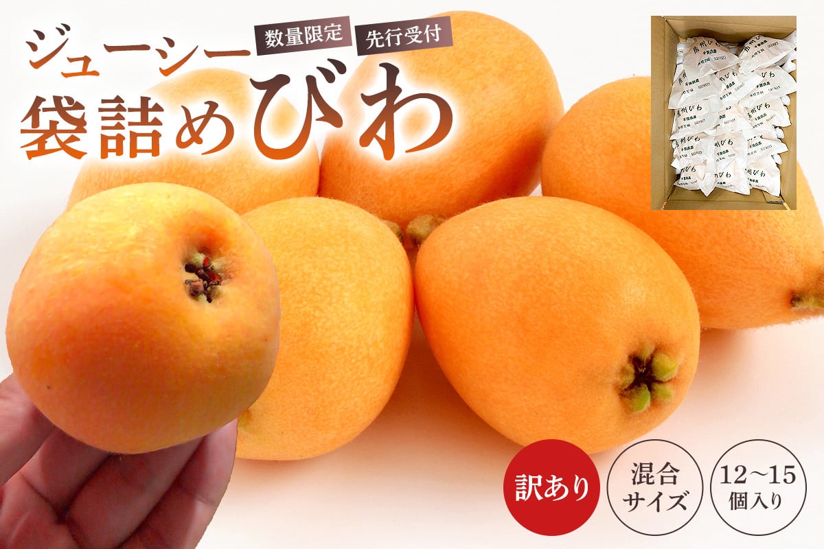 
            【先行受付 2025年5月中旬～6月中旬発送予定】【数量限定】 生産者直送　ジューシー袋詰めびわ（訳あり混合サイズ12～15個） mi0057-0001 【果物 フルーツ デザート おやつ 枇杷 ビワ 国産 特産品】
          