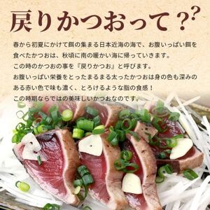 鹿児島産炭火焼き 戻りかつおたたきセット 800g　本場枕崎  HACCP認定工場 A3-306【配送不可地域：離島】【1167026】