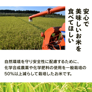 【 新米予約 】 こしひかり 特別栽培米 令和7年産 米 20kg 玄米 コシヒカリ 2025年産 国産 農家直送 環境こだわり 小分け お米 こめ おこめ 新米 先行予約 農家直送 産地直送 滋賀県