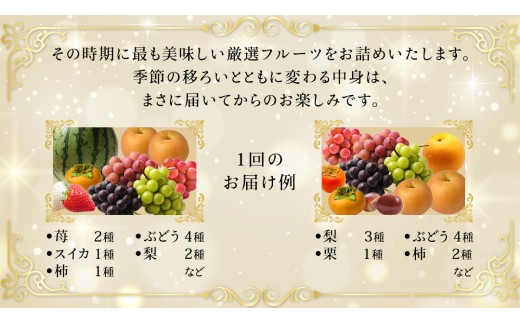 定期便【化粧箱入り2段】厳選フルーツ10〜12種プレミアムセット【毎月1回連続6か月(計6回)】（茨城県共通返礼品） 田舎の頑固おやじが厳選！ 人気 厳選 果物 くだもの 旬 旬の果物 旬のフルーツ 